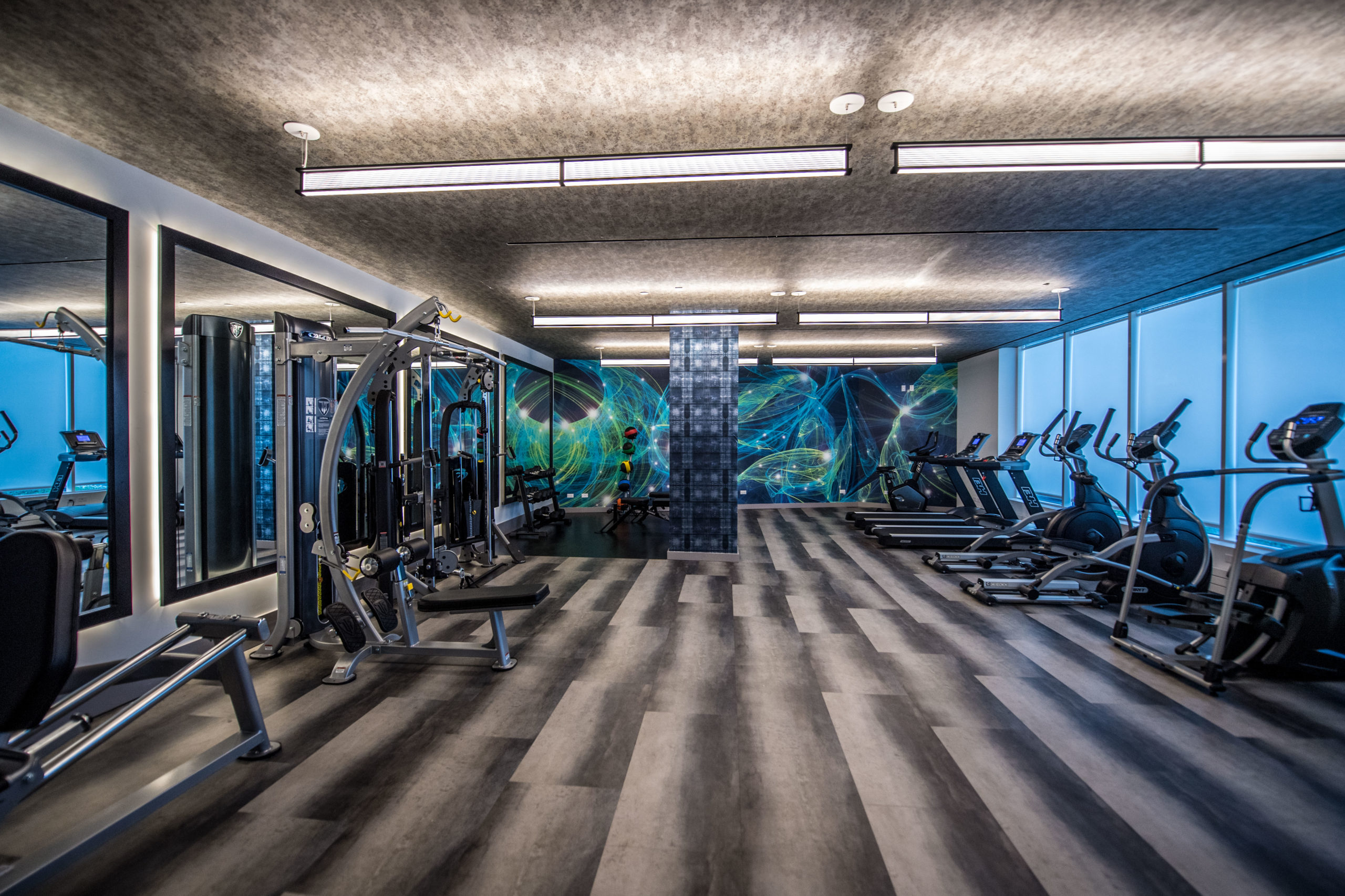 State-of-the-art fitness gym at The Vitagraph pet friendly apartments near Flatbrush
